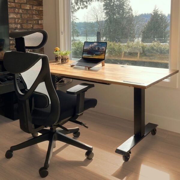 Duela Atelier Studio Beige